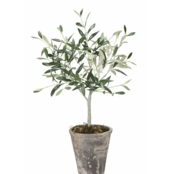 Lene Bjerre Oliivipuu H44cm
