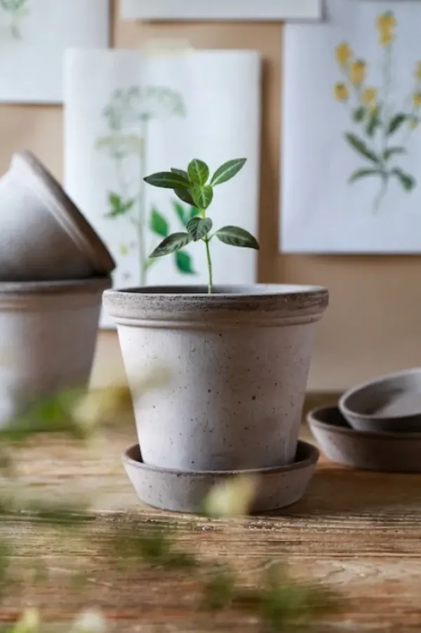 Bergs Potter Ruukku Flora RAW Grey, Ø 30 cm