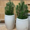 Tine K Home - Korkea ruukku 33cm, valkoinen